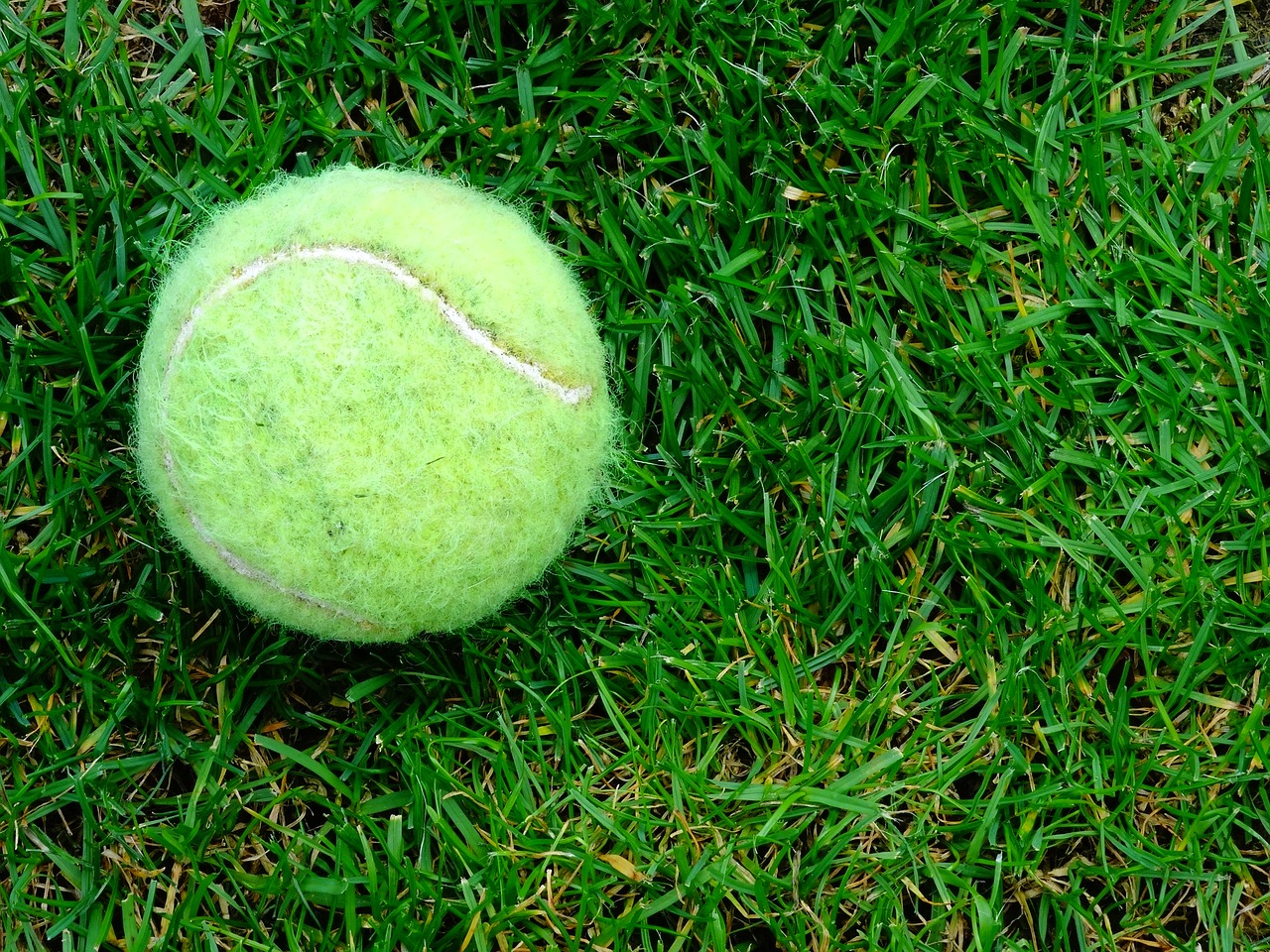 Watch Wimbledon live stream online