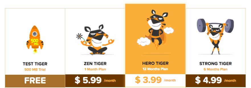 TigerVPN Service