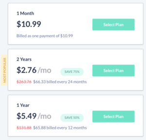 SaferVPN Pricing